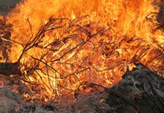 ilustrační obrázek - hořící stromeček