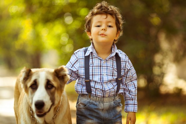 Dítě a pes Dítě a pes