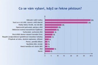 Myšlenkové asociace se slovem pěstoun